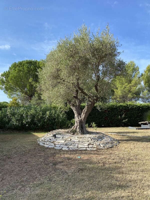 Maison à LA MOTTE
