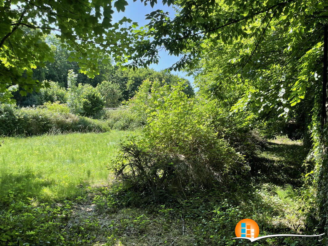 Terrain à CHARMES