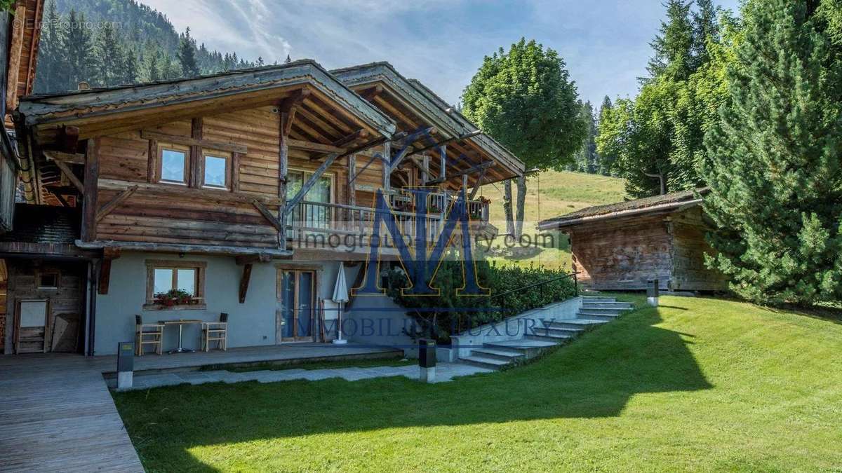 Commerce à ARACHES-LA-FRASSE