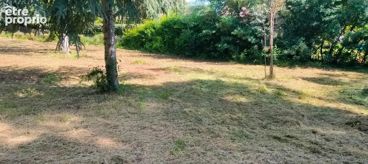 A vendre Terrain de 2200 m2, plat, arboré et clôturé à SAN NICOLAO (HAUTE CORSE) - photo 12