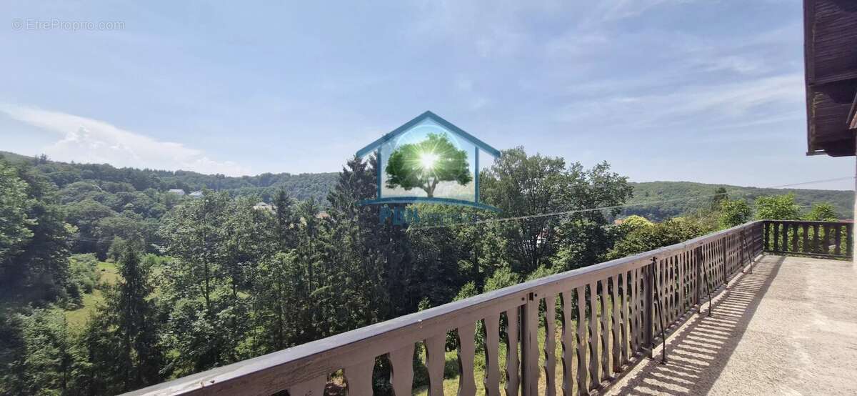 MEISENTHAL (57) - Maison 181m² sur un terrain de 14,94 ares - photo 5