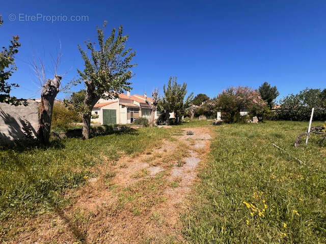 Maison à MARSEILLAN