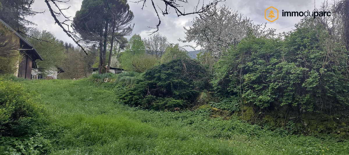 Maison à LESCHERAINES