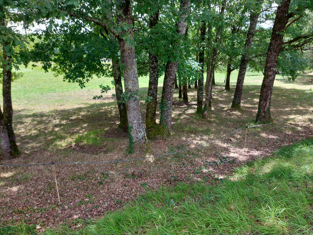 Terrain à SAINT-PARDOUX-LA-RIVIERE