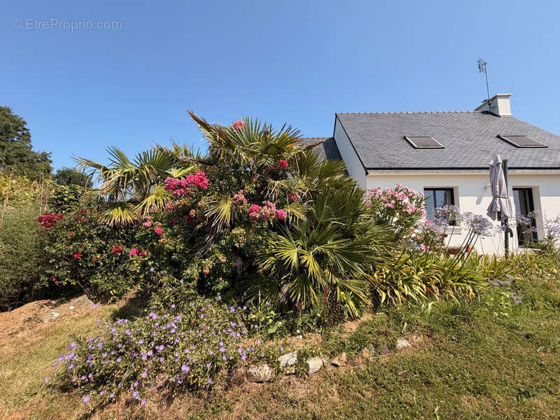 Coup de cœur : Maison contemporaine d'exception entre nature et commodités - photo 4