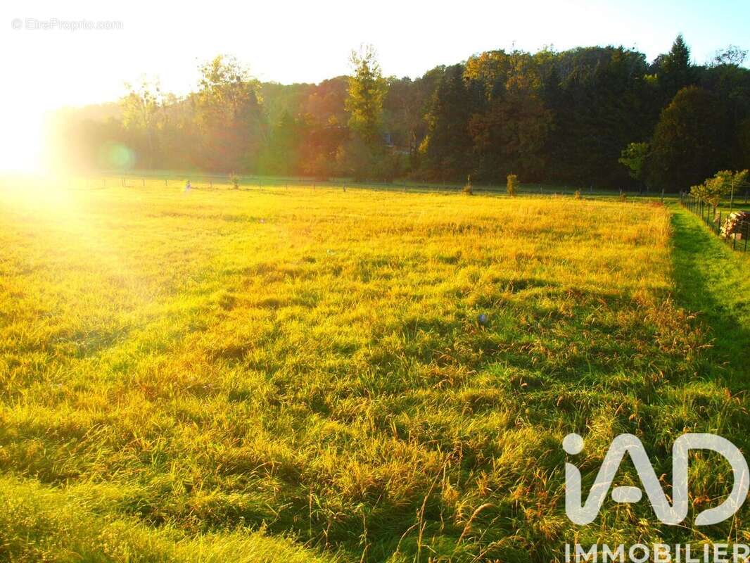 Photo 2 - Terrain à FOUCHECOURT