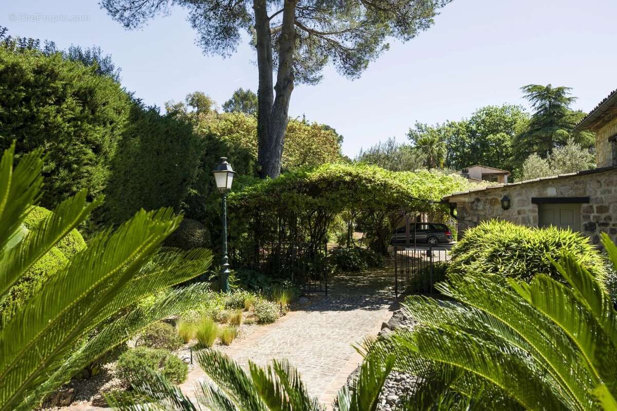 Maison à MOUANS-SARTOUX