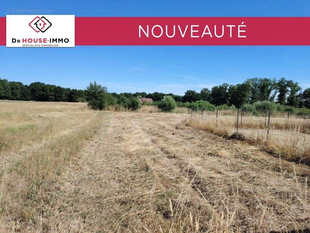 Terrain à SAINT-MAURICE-SUR-FESSARD