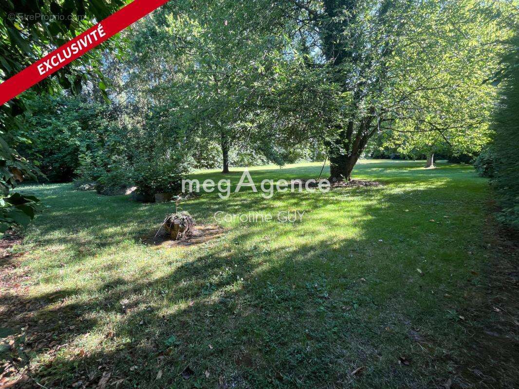 Maison de maître, 267 m2, 5 chambres, jardin et garages - photo 4