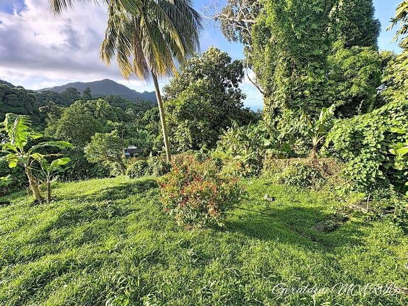 Maison à SAINT-CLAUDE