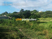 Terrain à SAINT-FRANCOIS
