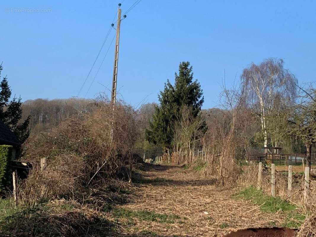 Terrain 4272 m² à Saint-Martin-De-Mailloc  - photo 2