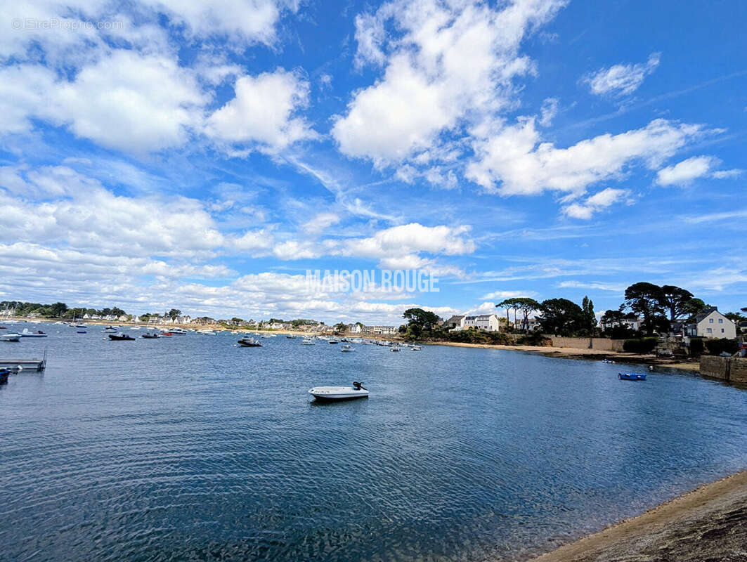 ARZON - Coup de coeur ! - photo 18