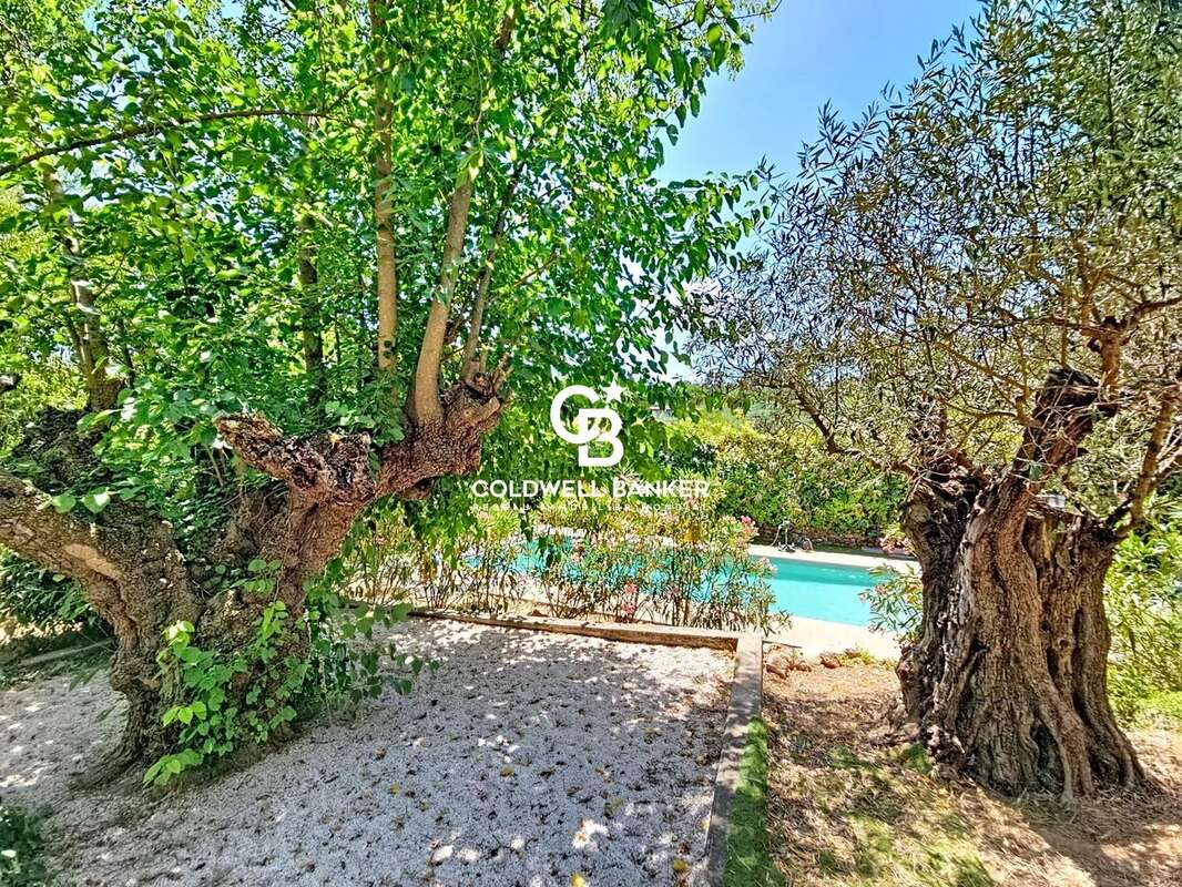 Bastide d'exception à lorgues : l'art de vivre provençal entre tradition et modernité - photo 31