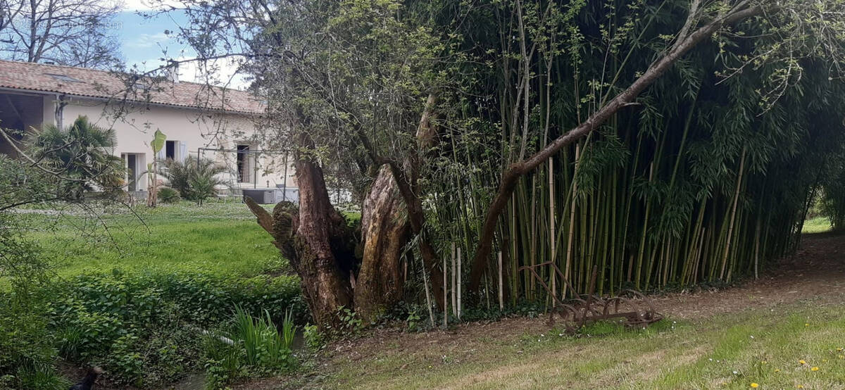 Maison à LAMOTHE-CAPDEVILLE