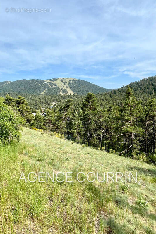 Terrain à CAILLE
