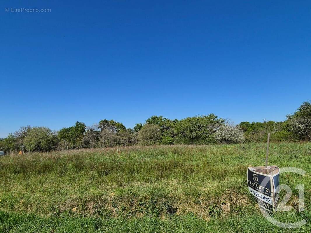 Terrain à SAINT-MEDARD