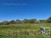 Terrain à SAINT-MEDARD