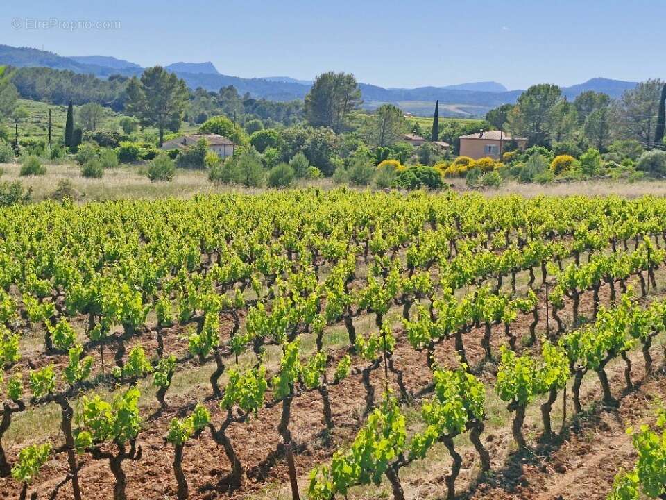 Terrain à CARCES