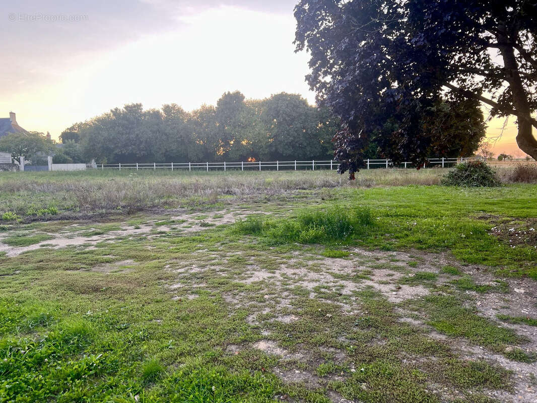 Terrain à SORIGNY