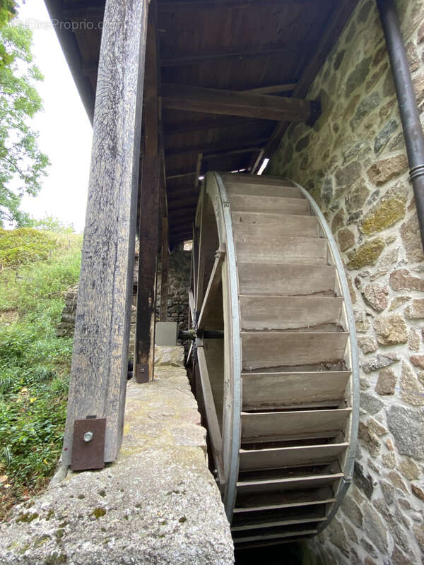 Maison à RENAISON