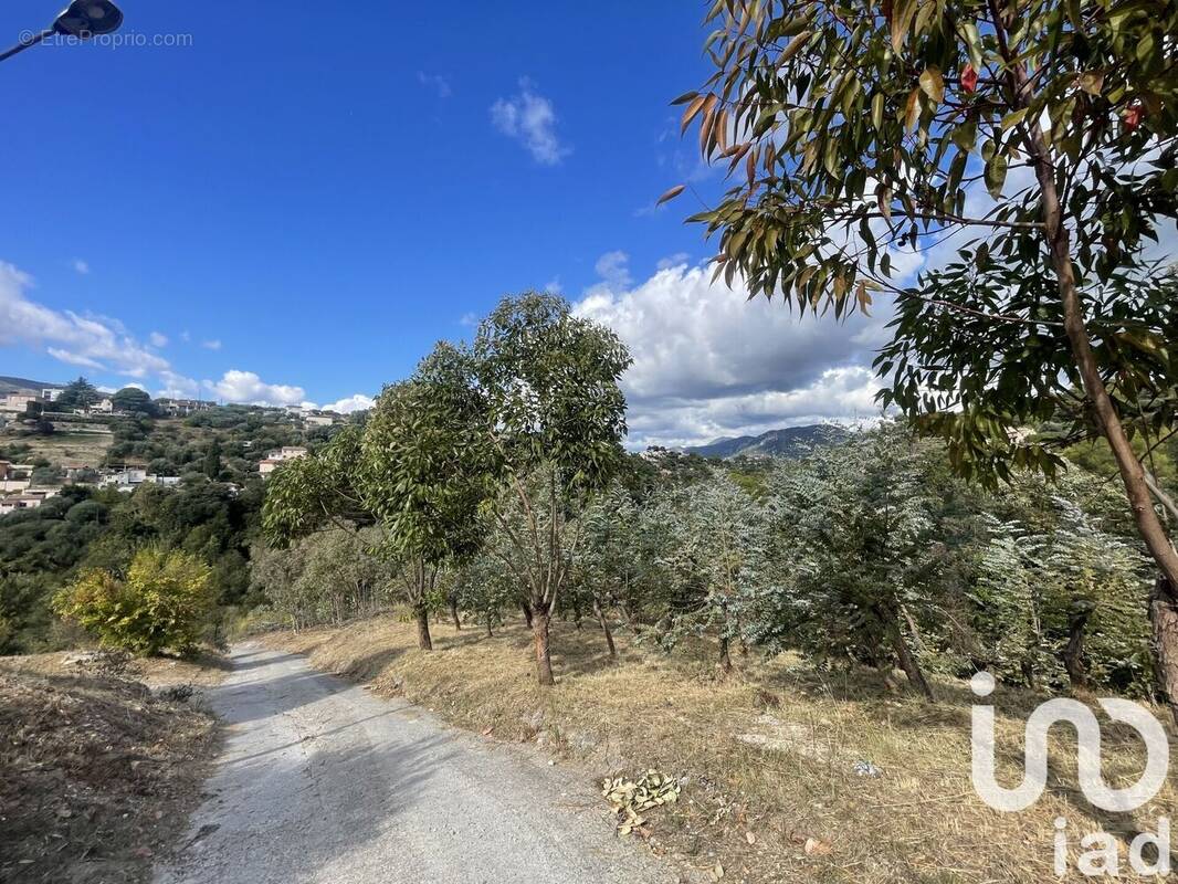 Photo 1 - Terrain à NICE