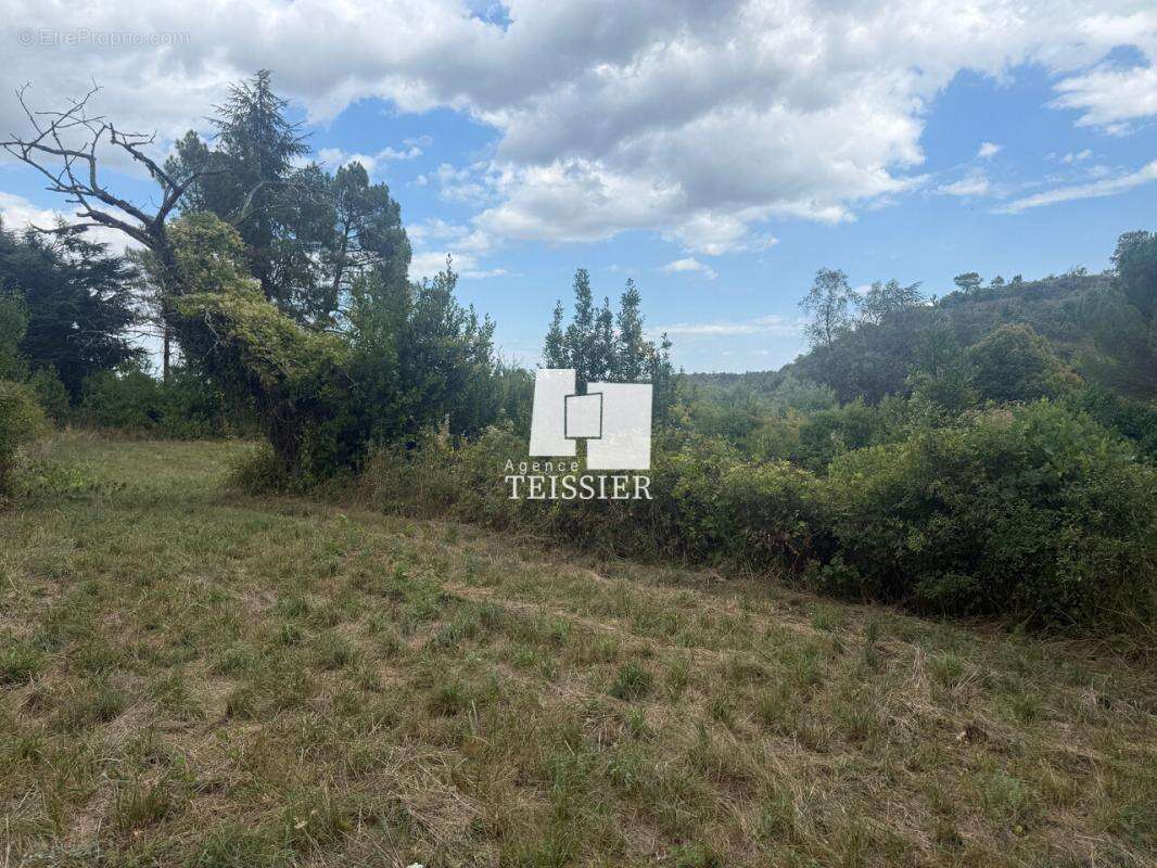 Terrain à SAINT-PAUL-LE-JEUNE