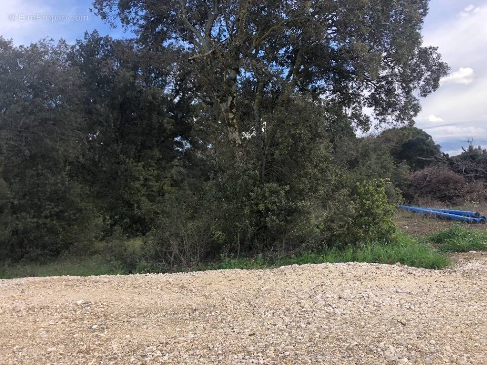 Terrain à LA BAUME-DE-TRANSIT