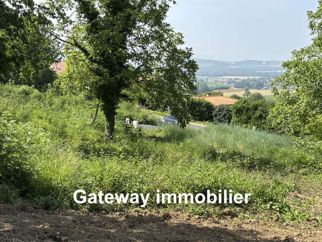 Terrain à SAINT-GEORGES-SUR-ALLIER