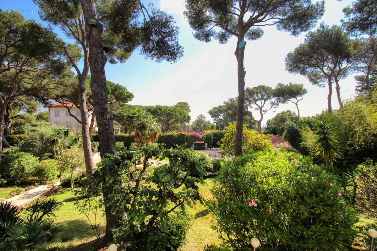 Saint jean cap ferrat "le cap" - propriété 600m²  terrain 5000m² piscine - photo 12