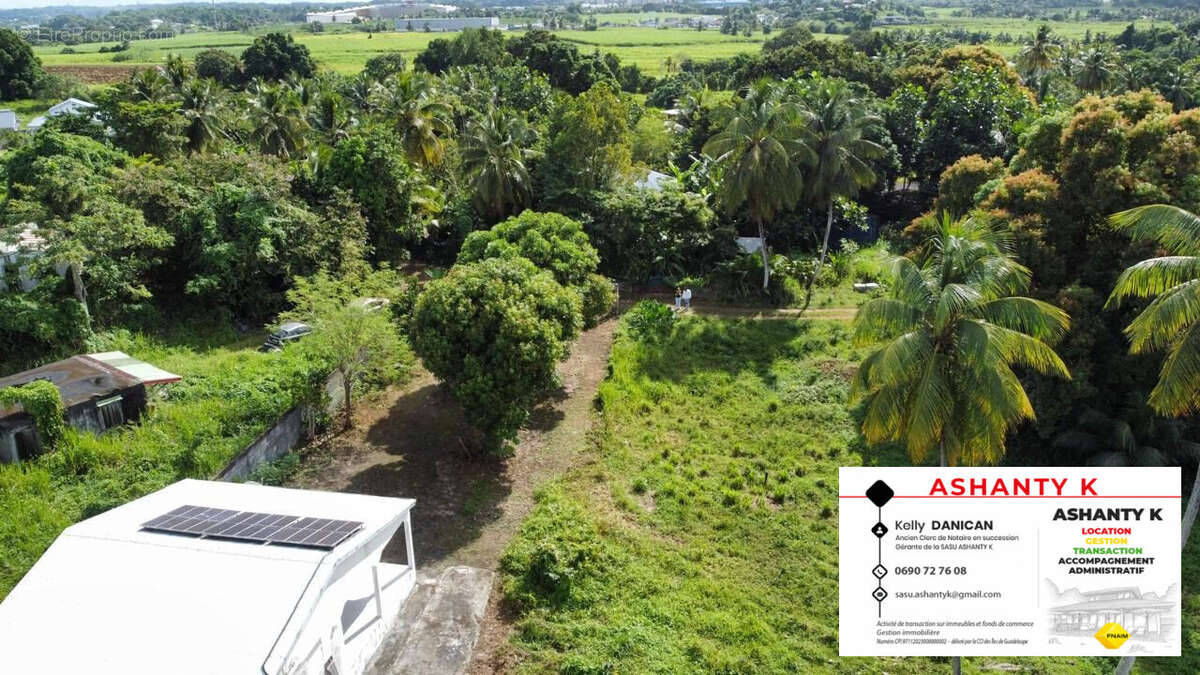 Terrain à LES ABYMES