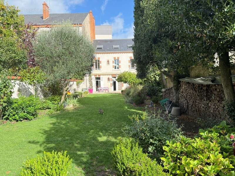 Orléans Dunois, maison bourgeoise à vendre, grand jardin et stationnements, parcelle 457 m² - photo 2