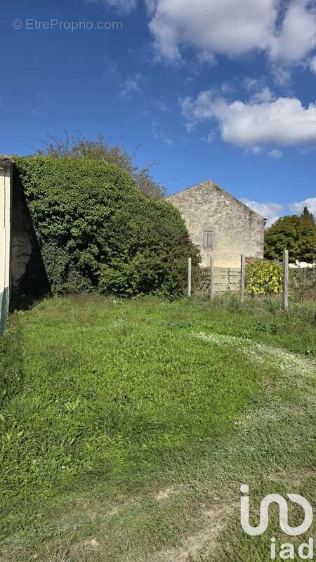Photo 2 - Terrain à SAINT-SEURIN-DE-CURSAC