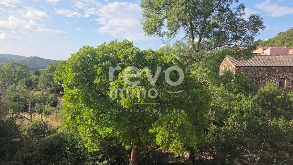 LA TOUR SUR ORB / MDV avec terrasse, garage, remises et jardin - photo 8