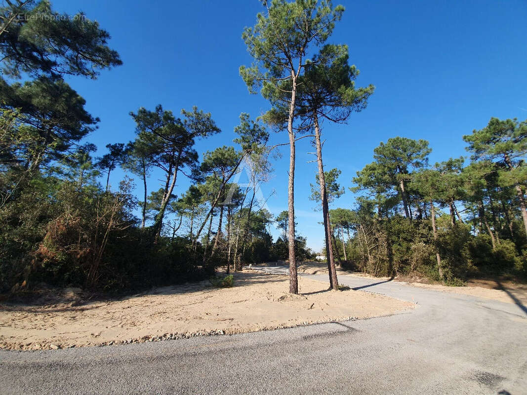 Terrain à bâtir - photo 3