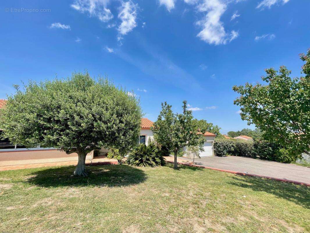 Villa 4 faces, 5 chambres - photo 21