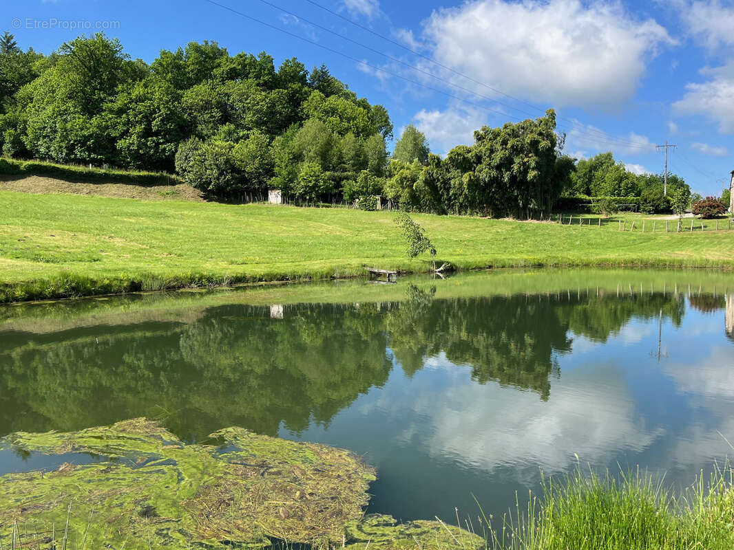 Terrain de 1,8 Hectare avec Deux Étangs près de Coussac-Bonneval (Non Constructible) - photo 6