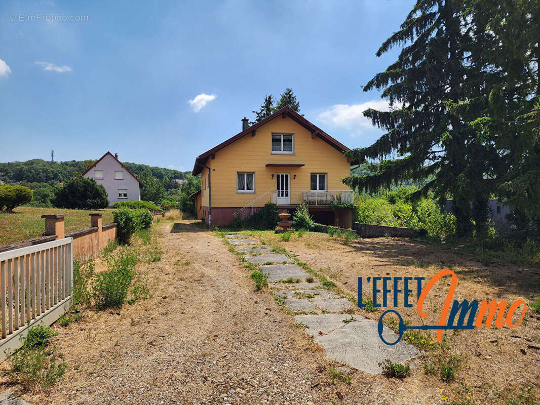 Ensemble immobilier à Osenbach - photo 4