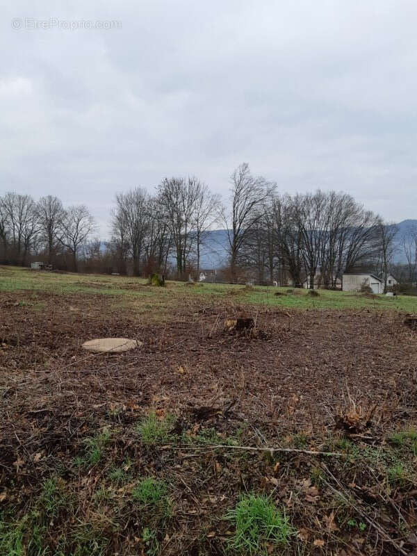 Terrain à LA VOIVRE