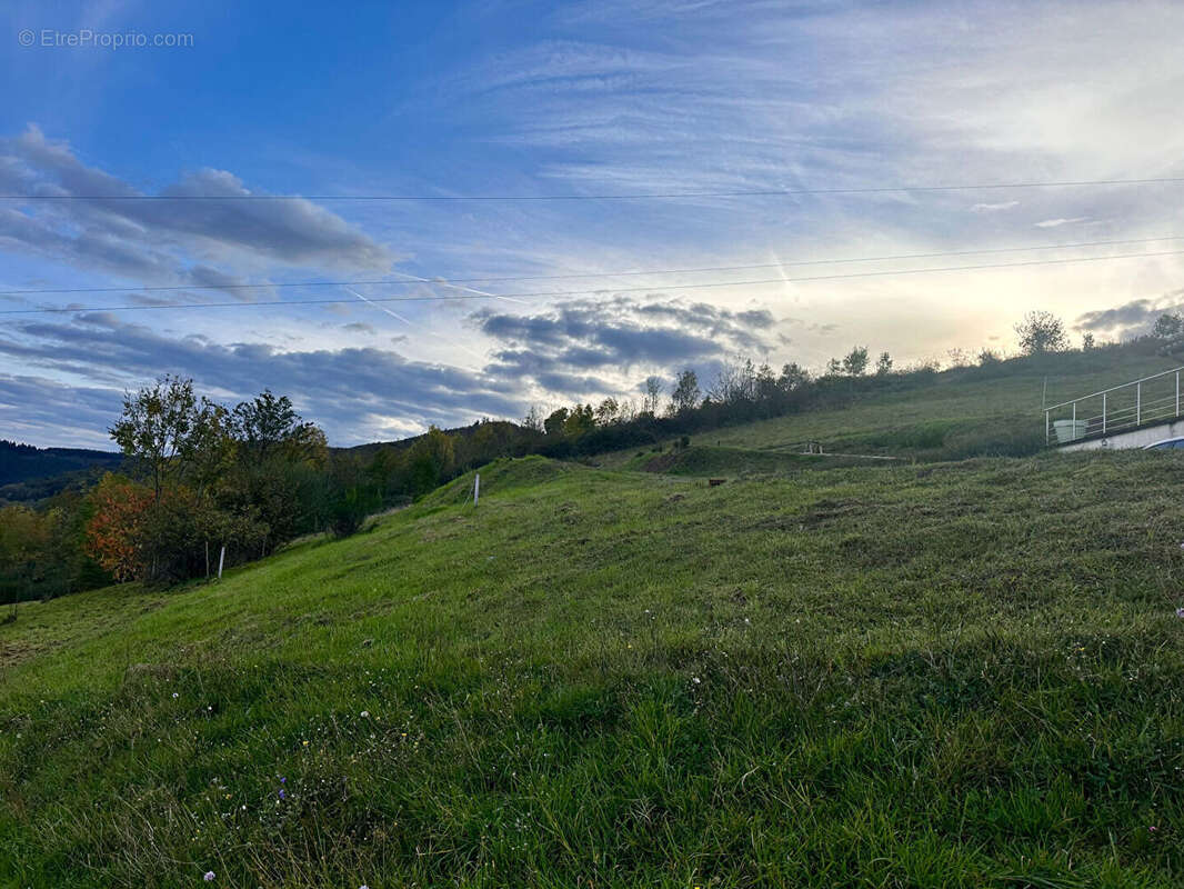 Terrain à SAINT-CYR-LE-CHATOUX