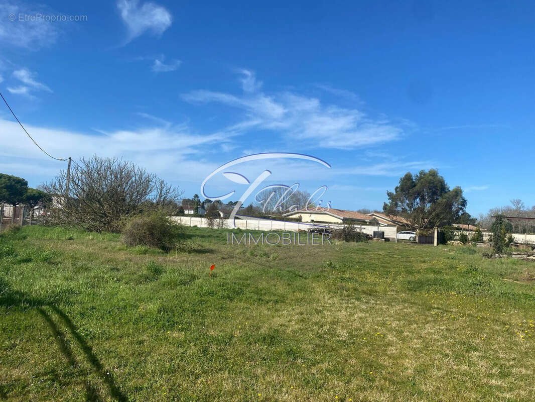 Terrain à SAINT-MEDARD-EN-JALLES