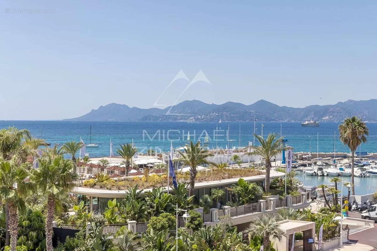 Cannes - Pointe Croisette - 3 pièces avec terrasse - photo 6