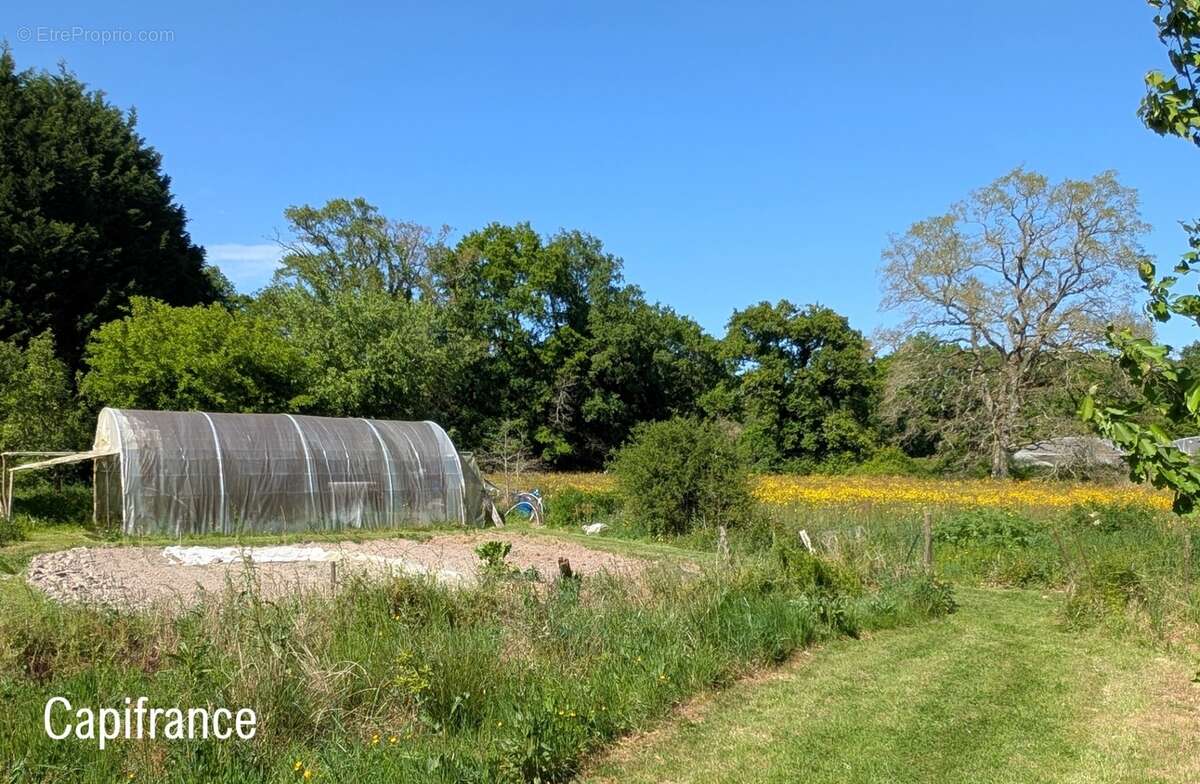 Maison en pierre – PLESSE – 165 m² – Terrain 9 000 m² – Proximité N137 - photo 24