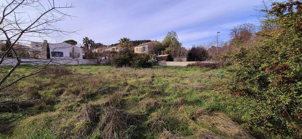 Terrain à MARSEILLE-11E