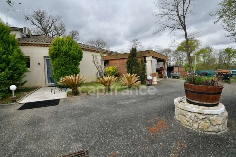 Villa de plain pied - 4 chambres - piscine - terrain de pétanque - garage - cadre naturel privilégié - photo 3