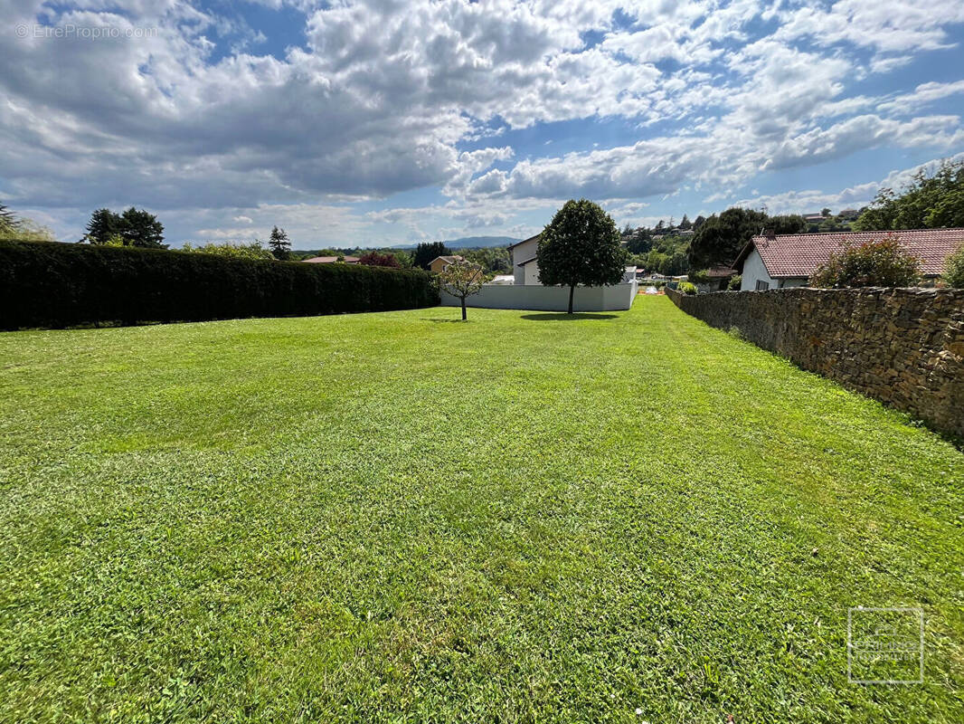 Terrain à LISSIEU