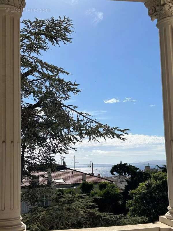 Port de Nice, vente appartement villa Belle Epoque, grand jardin, vue mer - photo 14