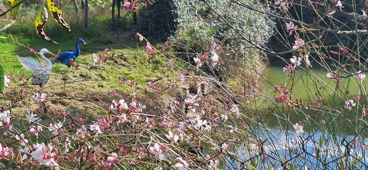 Maison à TRIE-SUR-BAISE