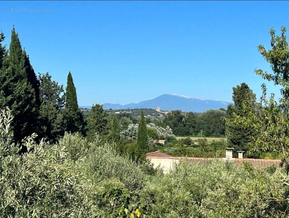 Terrain à ROQUEMAURE