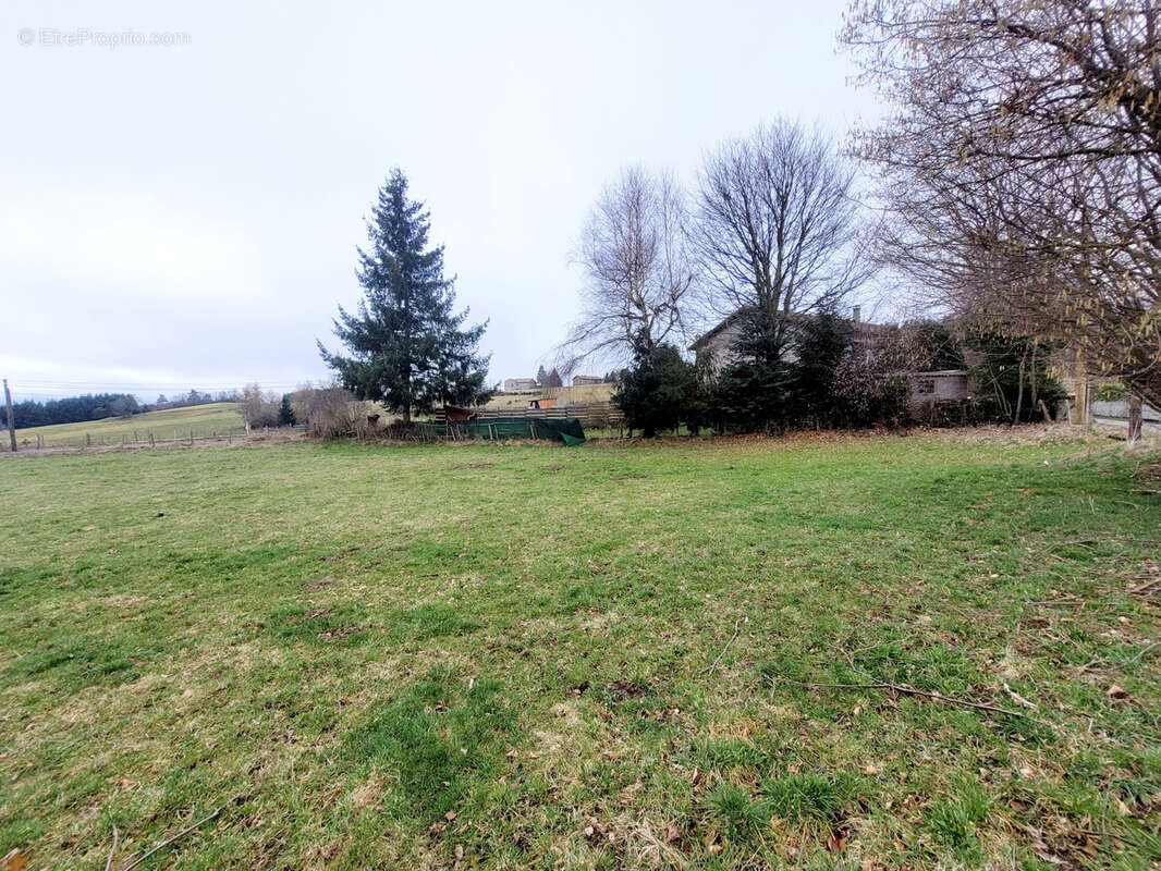 Terrain à ROZIER-COTES-D&#039;AUREC